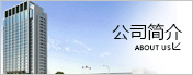 公司簡介